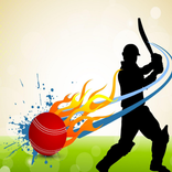 Cricket Walpaper HD Contempora