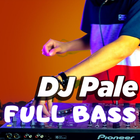 DJ PALE PALE VIRAL TIKTOK REMIX OFFLINE icône
