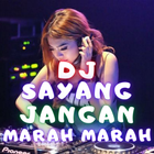 DJ Sayang Tolong Jangan Marah Marah Mp3 icône
