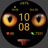 FW103 Digital Watch Face