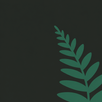 Fern - флеш-карточки APK