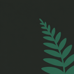 Fern icon