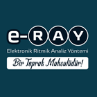 e-Ray Değerlendirme Sistemi icono