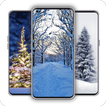 Winter Wallpaper 아이콘