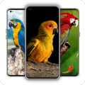 Parrot Wallpaper