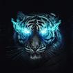 Tiger Wallpaper