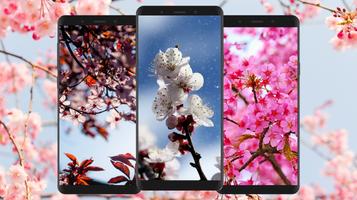 Blooming Tree Wallpaper 4K‏ Plakat