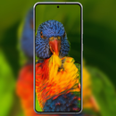 Parrot Wallpapers APK