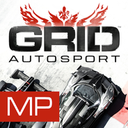 GRID™ Autosport - Online Multiplayer Test Zeichen