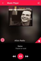 Allzic Radio Cartaz