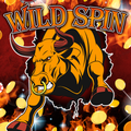 Wild Spin