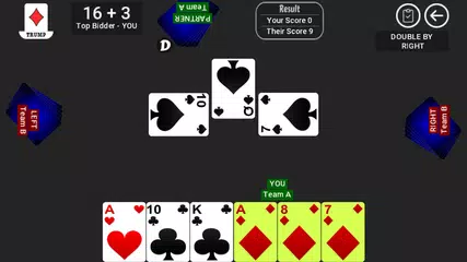 29 Card Game XAPK download