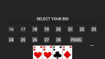 29 Card Game Screenshot 1