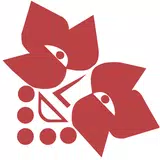 Fête des Vendanges Neuchâtel APK