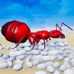 Carpenter Ants Insects Games icône
