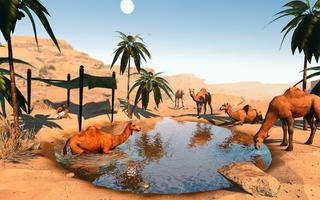 Desert Transport Camel Rider Affiche
