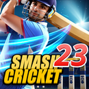 Bat Ball Game: Cricket Game 3D APK