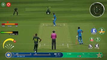 Bat Ball Game: Cricket Game 3D capture d'écran 1