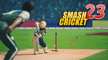 Bat Ball Game: Cricket Game 3D capture d'écran 3