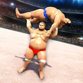 Sumo Wrestling 2020: Live Fight Arena