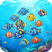 APK Ocean Fish Feast