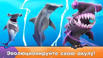Hungry Shark скриншот 2