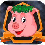 Piggy Rush: World Edition aplikacja