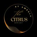 APK The Citrus