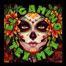 El Camino Tex-Mex APK
