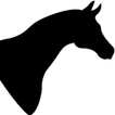 آیکون‌ Razas de caballos