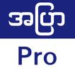 အပြာ Pro-Apyar Allkar Founddie