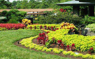 Garden Design Ideas اسکرین شاٹ 2