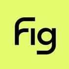 Fig icon