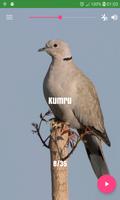 Bird Sounds screenshot 2
