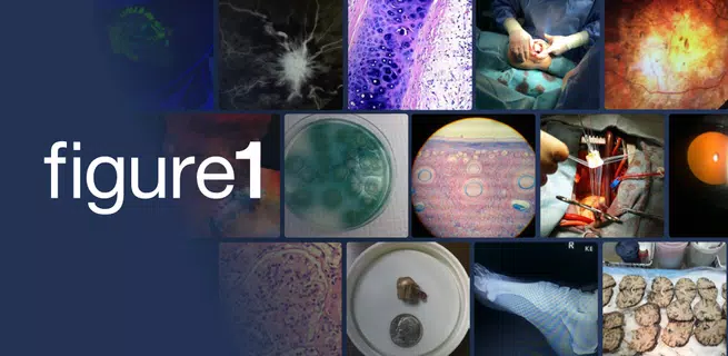 Figure 1 - Medical Cases