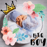 ikon Belly Scan