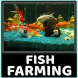 Aquarium fish farming