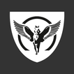 Fi.Fa. Security icône