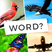 Guess 4 Pics icon