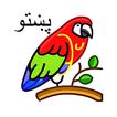 آیکون‌ English pashto dictionary