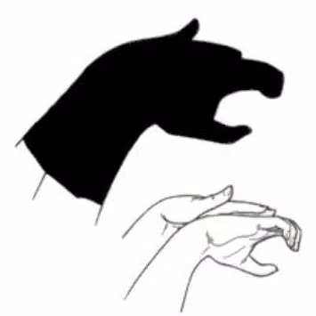 Hand Shadow Ideas APK for Android Download