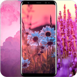 Pastel Wallpaper Wallpaper 4K