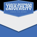 Team Norman QR Scanner APK