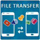 File Transfer & Data Sharing APK