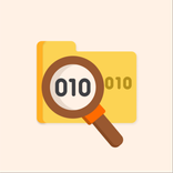 BIN File Opener - Viewer