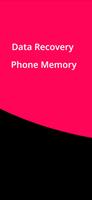 Data Recovery Phone Memory 截圖 1