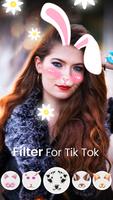 Filter For Tik Tok capture d'écran 1