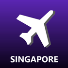 Singapore Changi Airport SIN Flight Info Zeichen