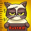 Cat Crime: Naughty Busted!
