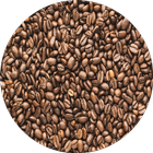 Find Yeezy icon